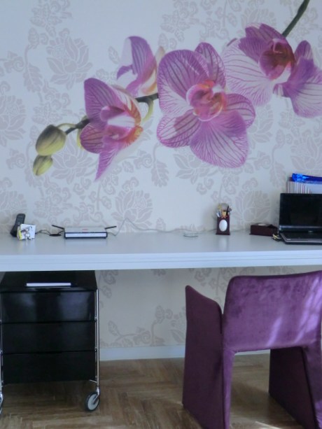 1 Wall & Decò Jungle Land CIMG1851