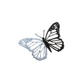 Karman-Farfalle-A360B