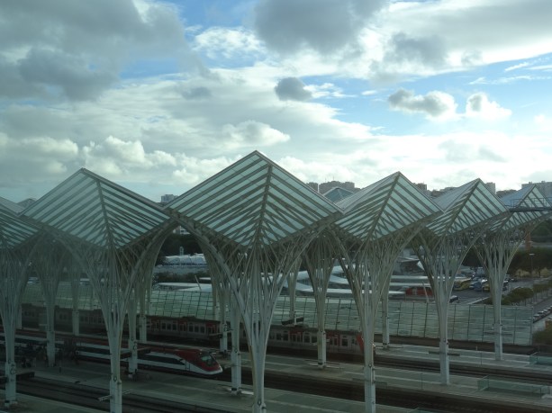 La Stazione d'Oriente progettata da Calatrava DSC01052