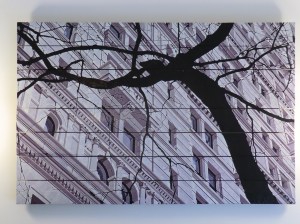 Dietro le quinte 6 CIMG3060